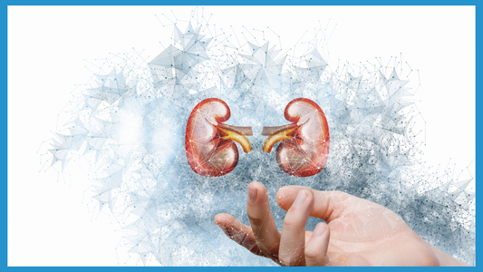 7 Habits that are Bad for your Kidneys