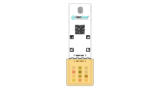 Dip the test Card
