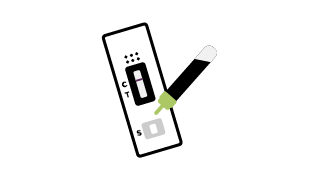 Collect urine and add sample