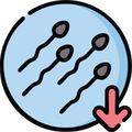 MEN WITH LOW SPERM COUNT OR MOTILITY