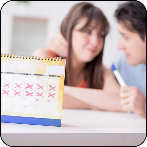 PLAN INERCOURSE FOR PREGNANCY
