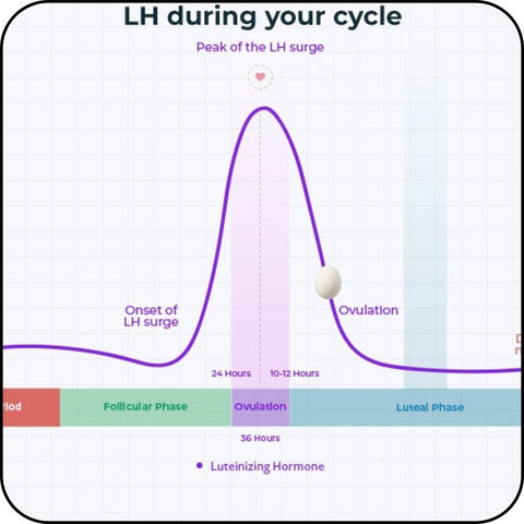 PREDICT OVULATION