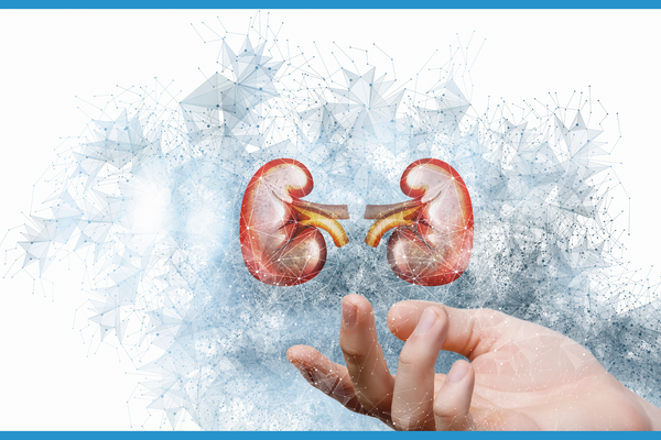 7 Habits that are Bad for your Kidneys