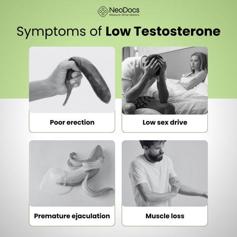 Neodocs At Home Testosterone Test