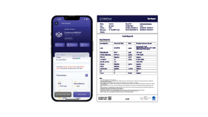 Results in 30 seconds