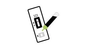 Collect urine and add sample