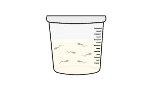 Collect semen sample