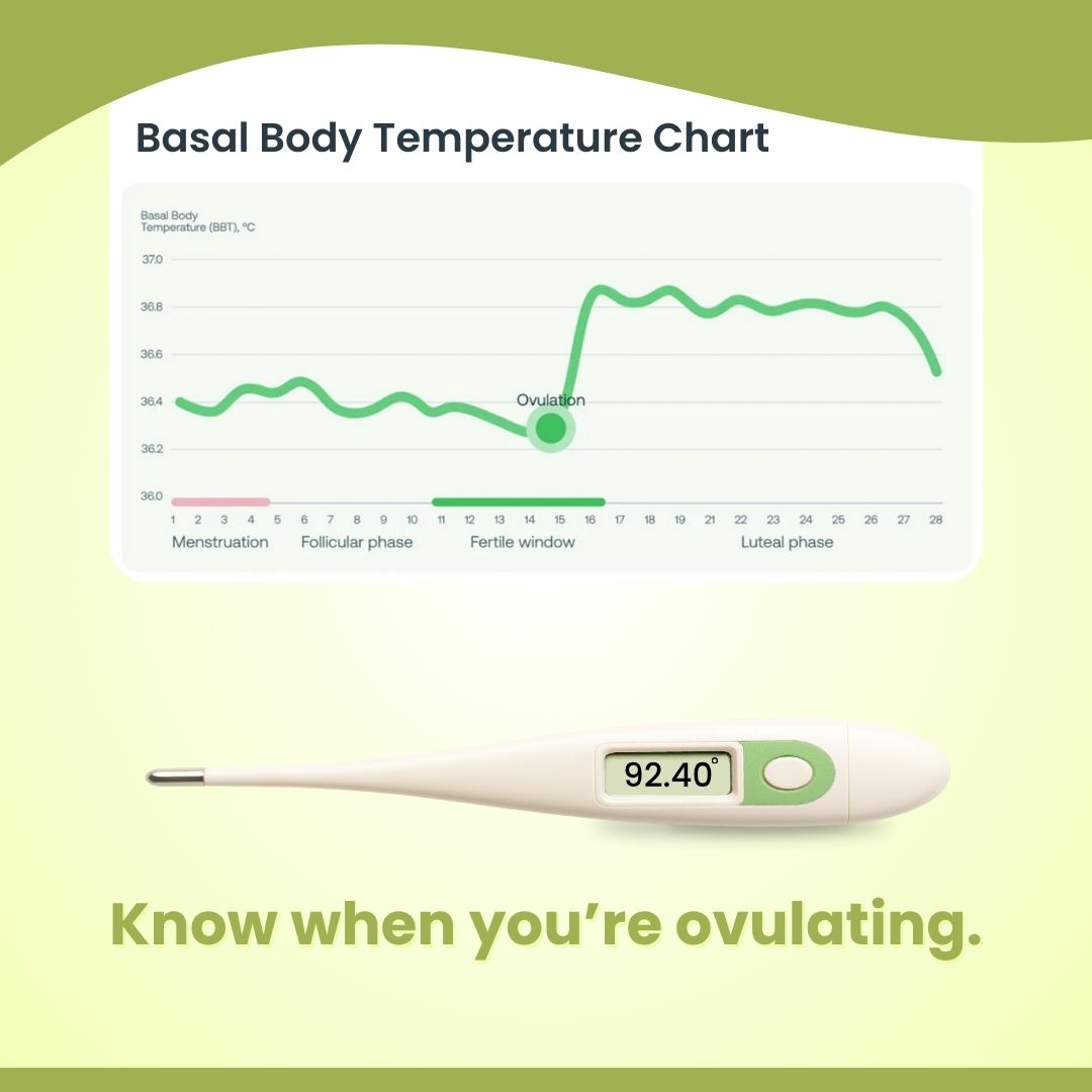 I-Conceive Basal Body Temperature Thermometer | Ovulation Thermometer