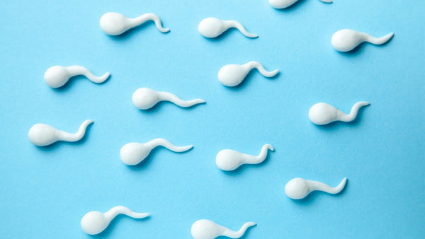 What is considered a healthy sperm count?