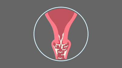 Time for sperms to reach the cervix?