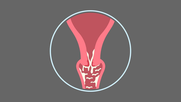 Time for sperms to reach the cervix?