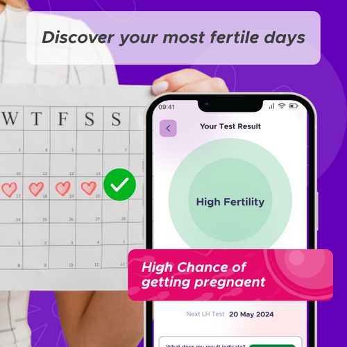 Track toward your most fertile window